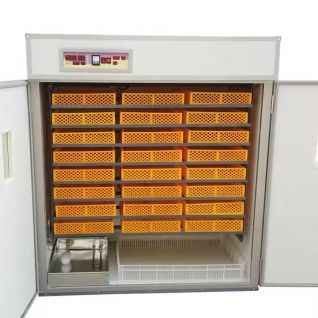 4224 Eggs Automatic Poultry Egg Incubator 