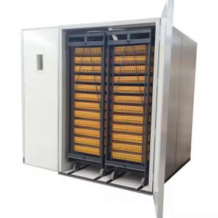 8448 Eggs Automatic Poultry Egg Incubator 