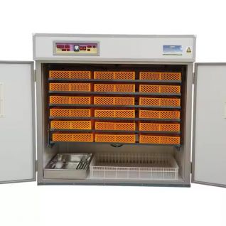 1584 Eggs Automatic Poultry Egg Incubator 